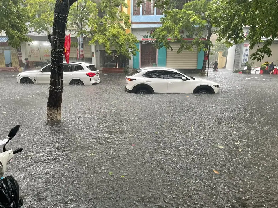 Chắc tâm tôi ác – ảnh 1