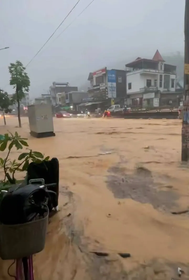 Hi vọng Tôn Hoa Sen thấy cảnh này – ảnh 1