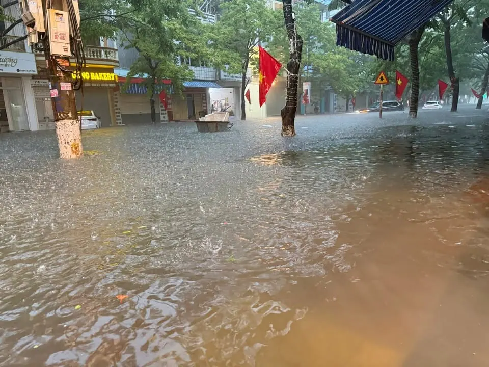 Hi vọng Tôn Hoa Sen thấy cảnh này – ảnh 4
