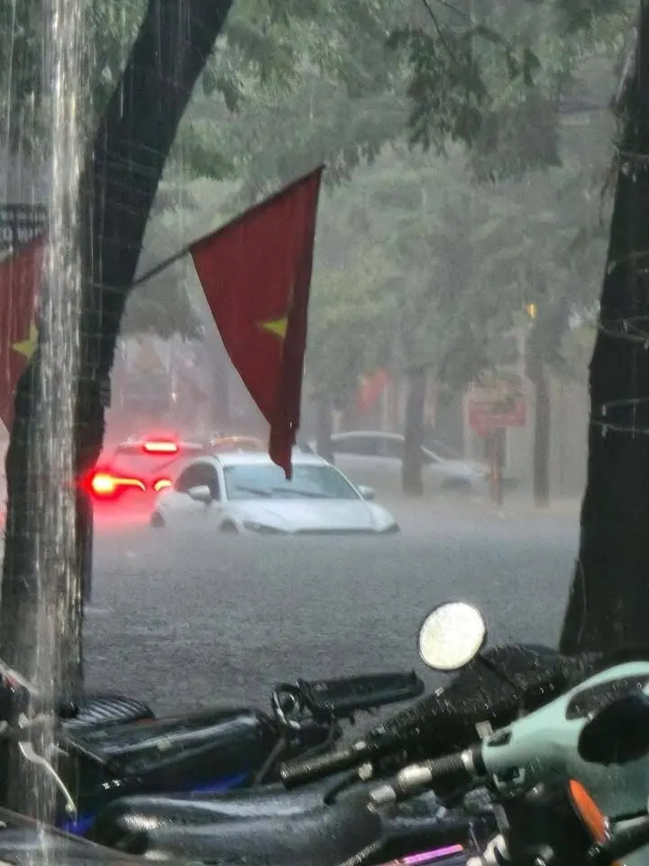 Hi vọng Tôn Hoa Sen thấy cảnh này – ảnh 6