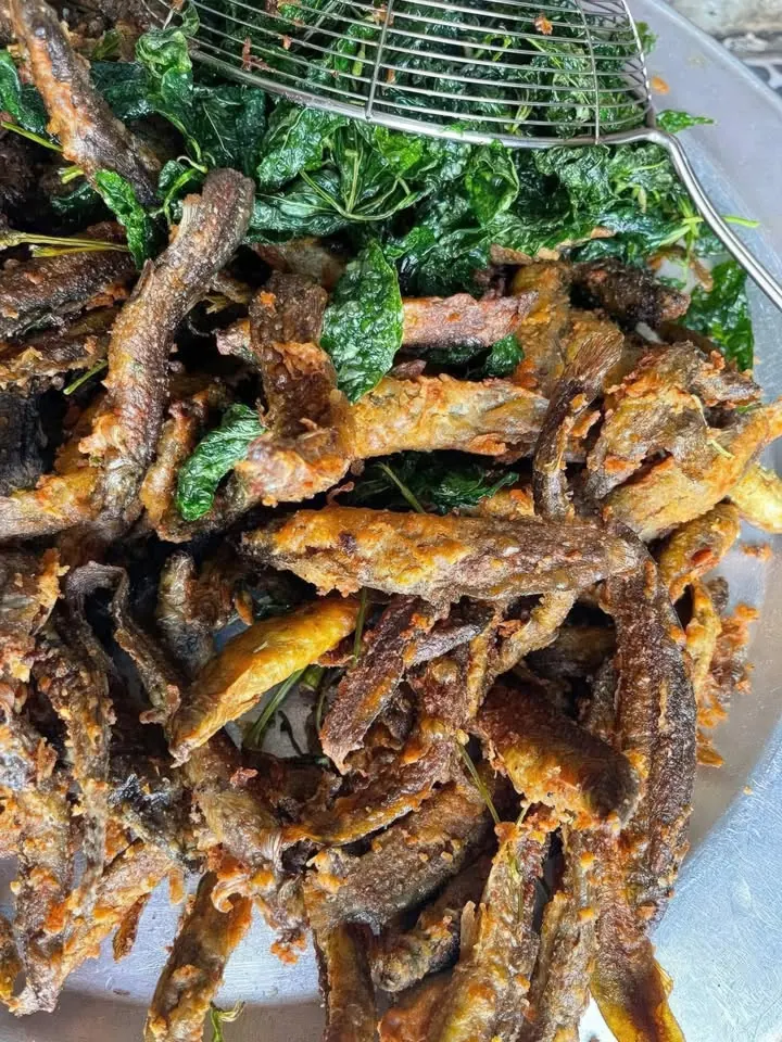 [ Uống 1 tặng 1 ] Có quán cỏ thoả mãn cho anh em Cẩm Phả giải nhiệt đây! – ảnh 4