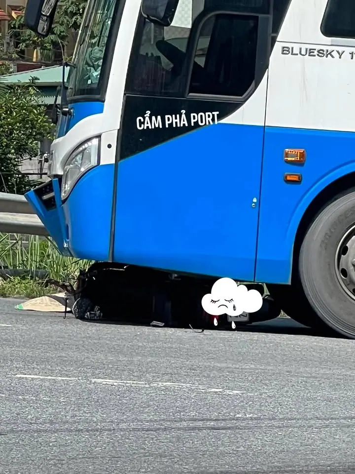 Cầu vượt Mông Dương – ảnh 2