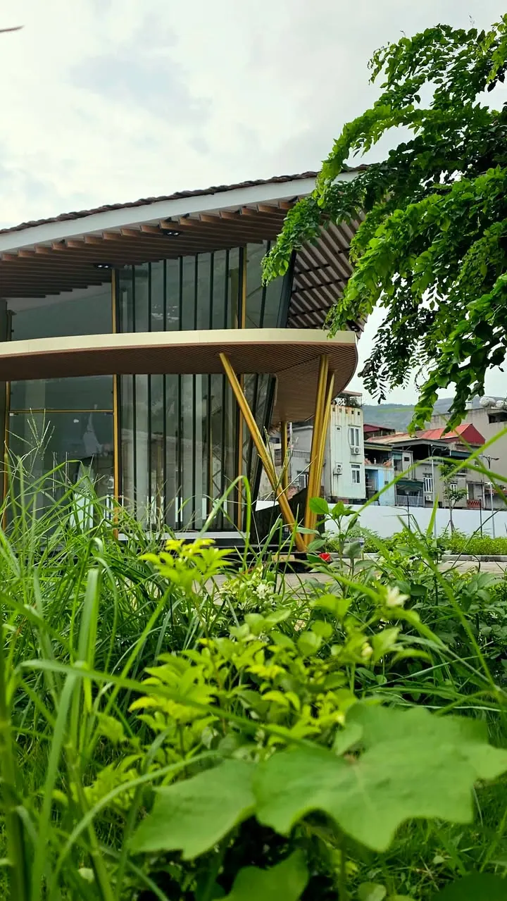 Ở đây mở cái Highland là đẹp. View khỏi chê – ảnh 1