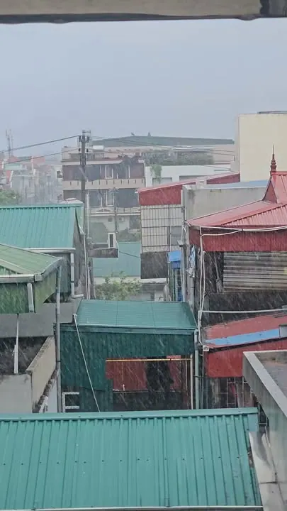 Cứ mưa như này cho mát, đỡ phải bật điều hòa, thậm chí cả quạt cũng không phải bật luôn – ảnh 1