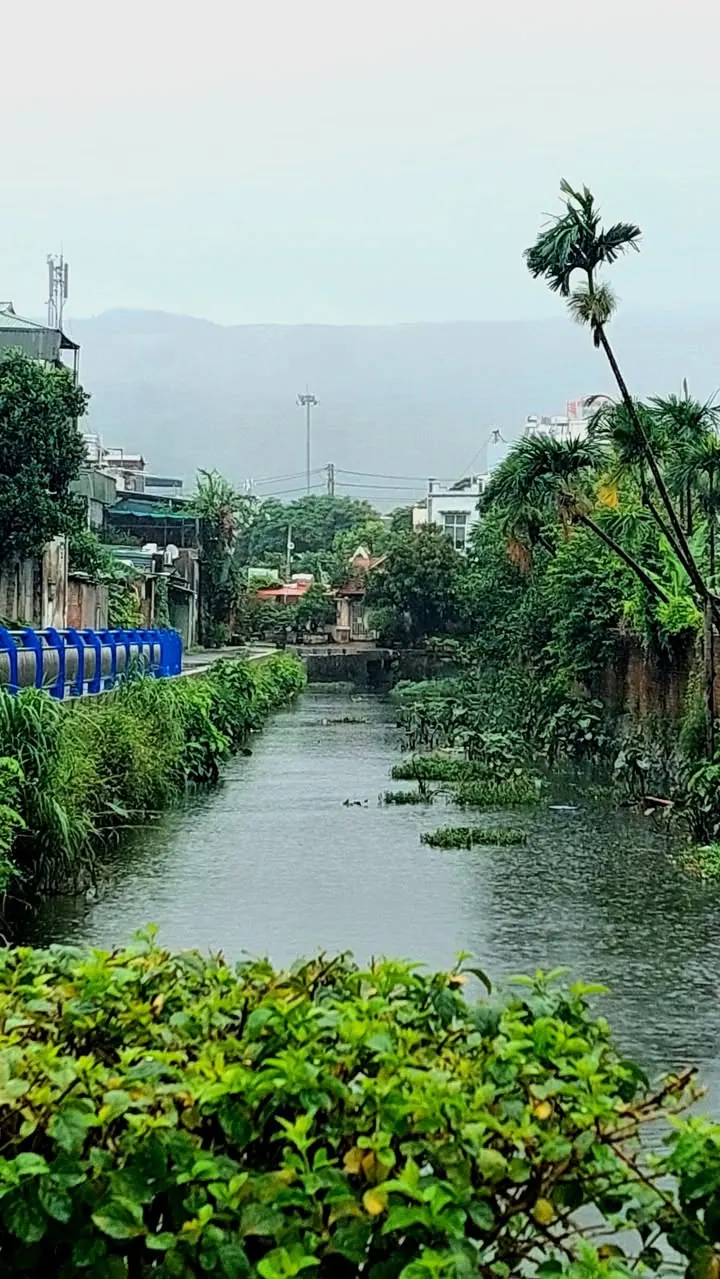 Cứ nhẹ nhàng mà đi qua thôi Maysak nhé! mái tôn vẫn chưa trả góp xong đâu đấy – ảnh 1