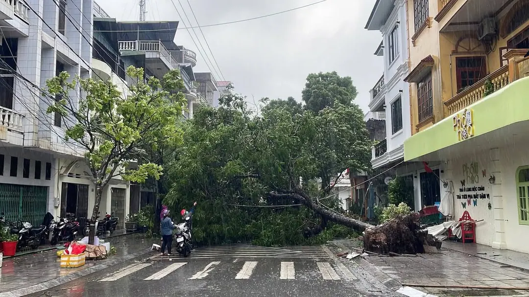 Cẩm Phả, thì êm đềm vậy thôi chứ Móng Cái ảnh hưởng gió cũng mạnh đấy chứ chả đùa được đâu – ảnh 2