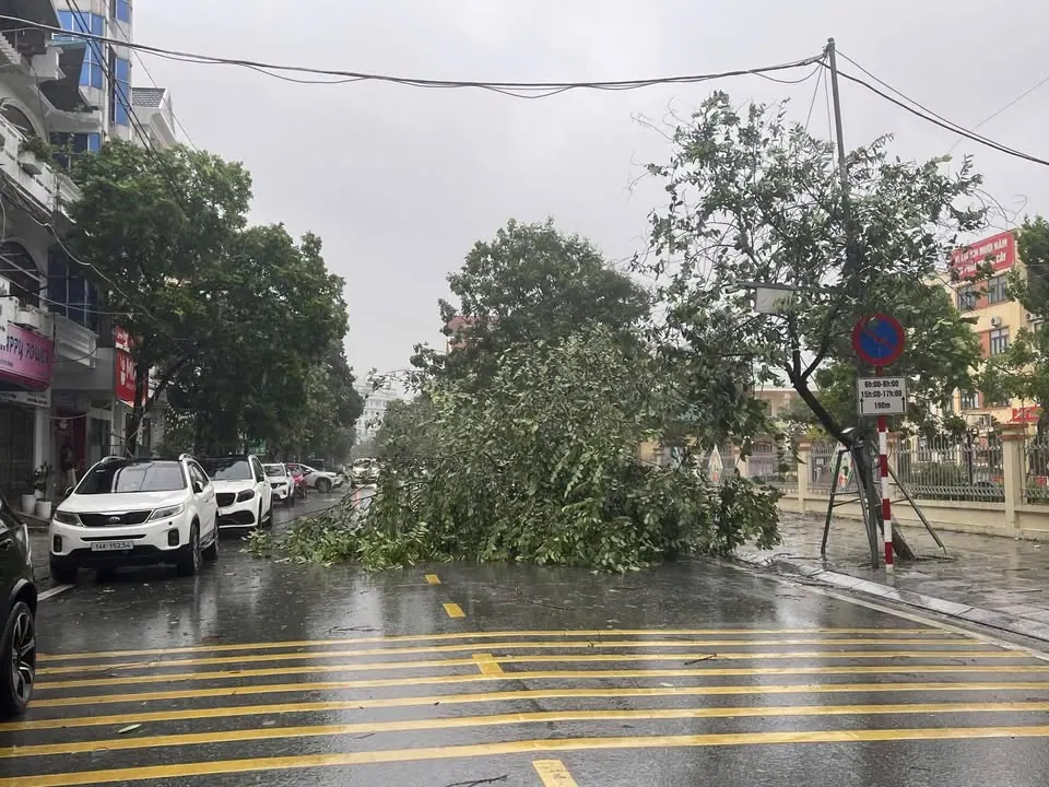 Cẩm Phả, thì êm đềm vậy thôi chứ Móng Cái ảnh hưởng gió cũng mạnh đấy chứ chả đùa được đâu – ảnh 3