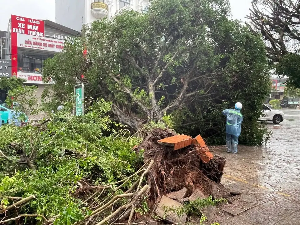 Cẩm Phả, thì êm đềm vậy thôi chứ Móng Cái ảnh hưởng gió cũng mạnh đấy chứ chả đùa được đâu – ảnh 4