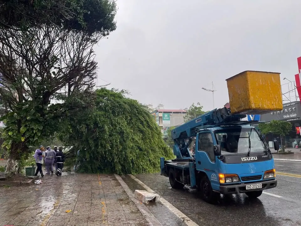 Cẩm Phả, thì êm đềm vậy thôi chứ Móng Cái ảnh hưởng gió cũng mạnh đấy chứ chả đùa được đâu – ảnh 5