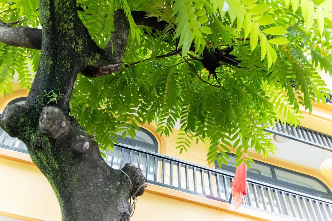 Dạo này Cẩm Phả lắm nhà đẹp kinh, sau cũng chỉ ước mơ có được nơi an cư thế này – ảnh 5