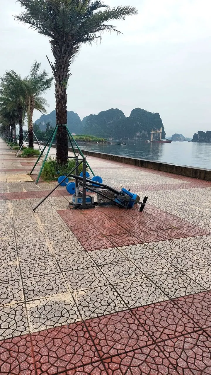 Tình hình gió to quá làm hỏng phòng gym 5 – ảnh 1