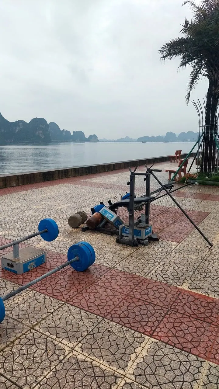 Tình hình gió to quá làm hỏng phòng gym 5 – ảnh 4