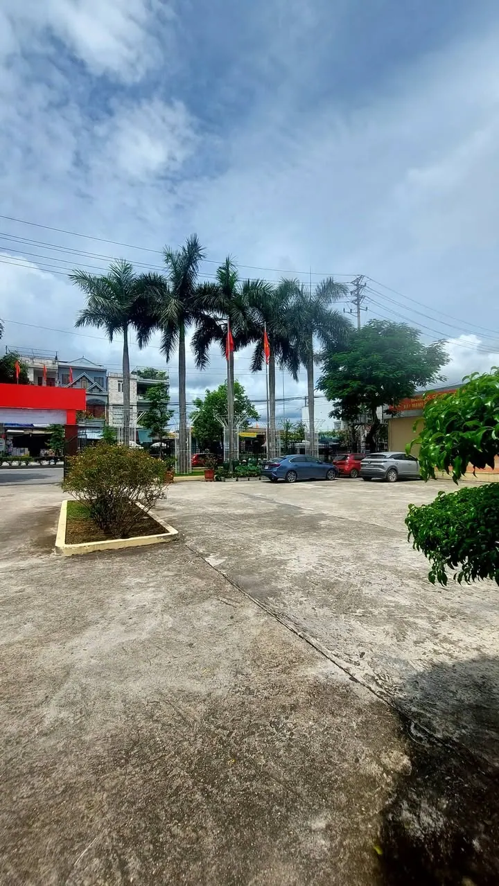 Góc tối cổ – ảnh 2