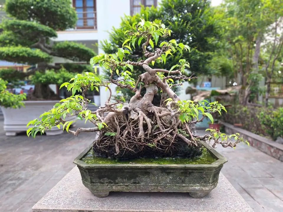 Chỗ ngồi cà phê sáng theo phong cách mới – ảnh 10