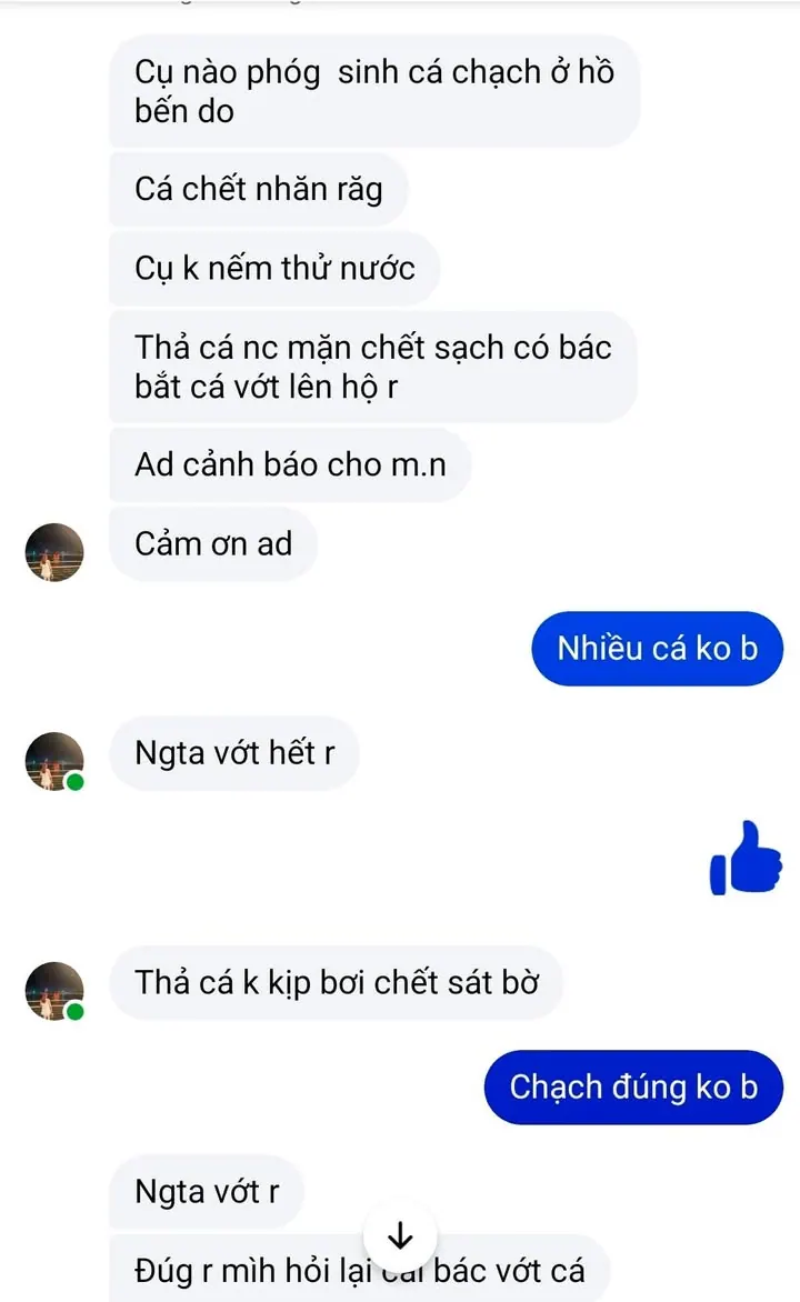 Nhà bác nào nay làm lễ, xong phóng sinh chạch ở hồ Bến Do thì mai mua mẻ khác phóng sinh lại đi nhé – ảnh 4
