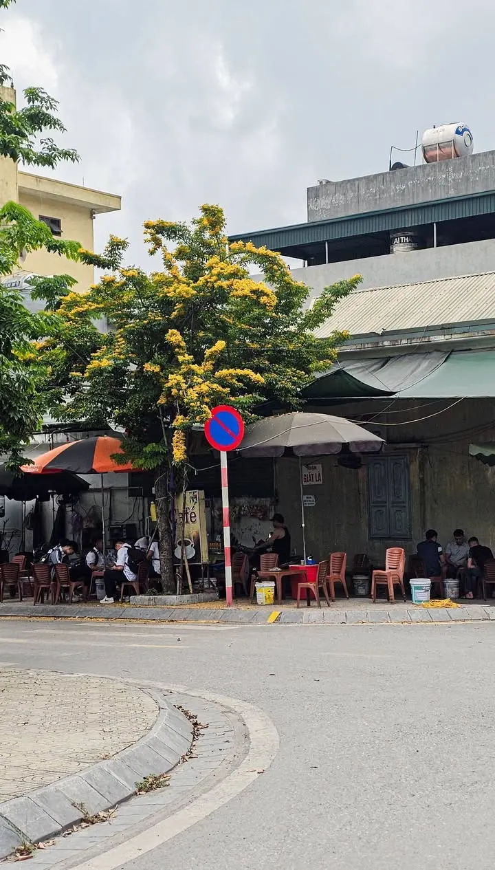 Tràn gập sắc vàng – ảnh 4